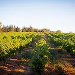 Hong Kong Guest In The Heart Of The Vineyard No69 Πανσιόν