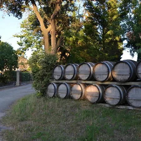 Hong Kong Guest In The Heart Of The Vineyard No69 Penzion