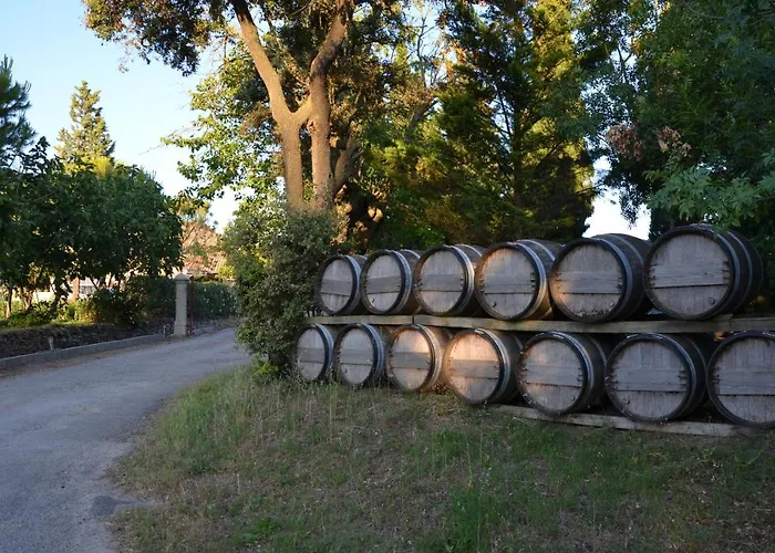 Hong Kong Guest In The Heart Of The Vineyard No69 Penzion